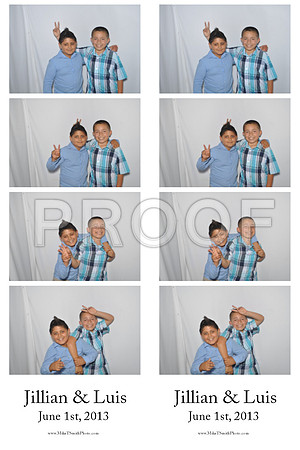 2013-6-1-0007-d