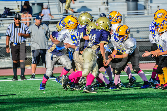 Mighty Mites Elk Grove Herd-11