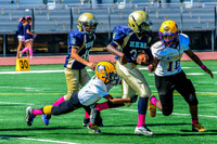 PEE WEE Elk Grove Herd-18