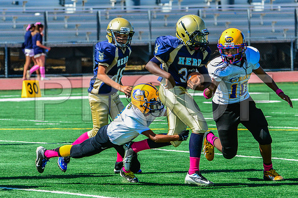 PEE WEE Elk Grove Herd-18