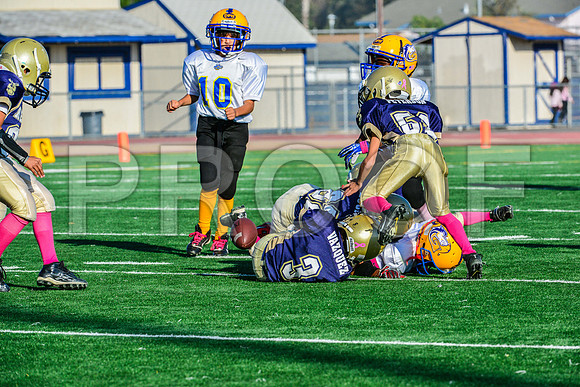 Mighty Mites Elk Grove Herd-24