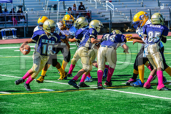 PEE WEE Elk Grove Herd-22