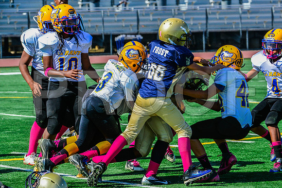 PEE WEE Elk Grove Herd-27