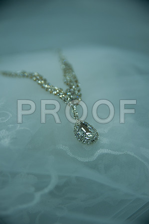 DSC_0491-Proof