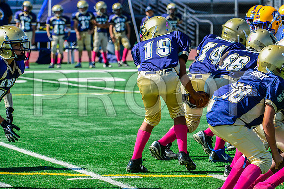 PEE WEE Elk Grove Herd-25