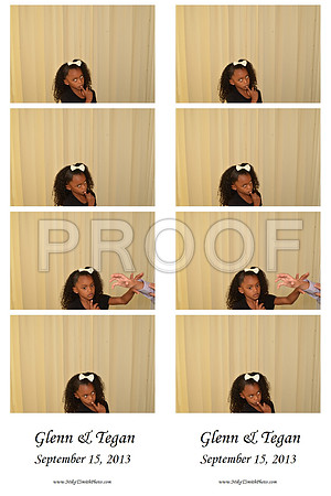 2013-9-15-0010-d