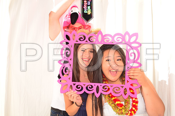 2015-6-13-0006-1