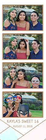 2018-8-11-0006