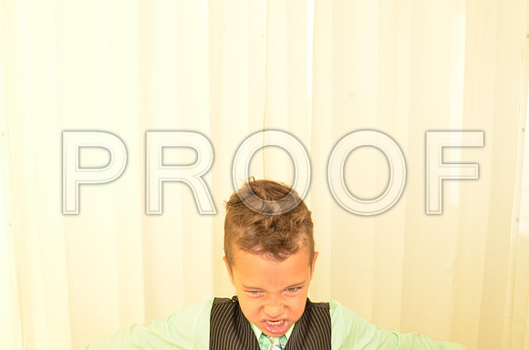 2013-9-15-0050-4