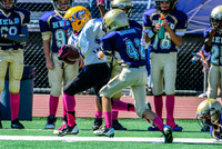 PEE WEE Elk Grove Herd-11