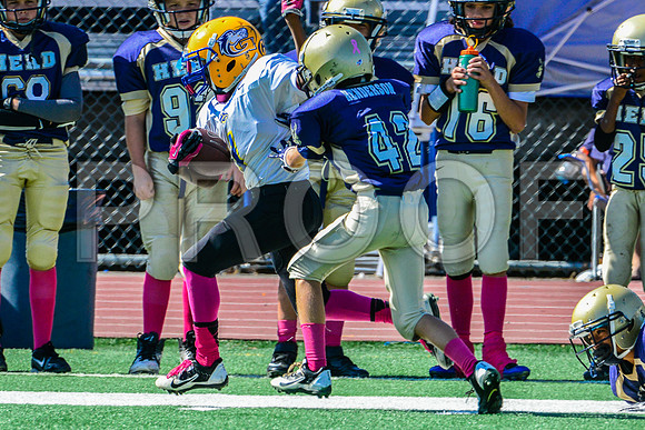 PEE WEE Elk Grove Herd-11