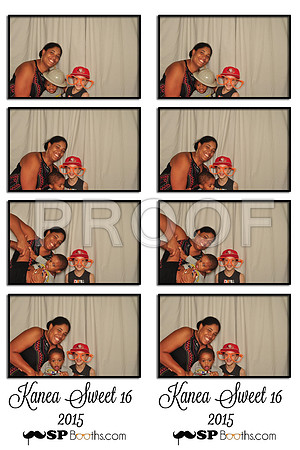 2015-7-19-0029-d