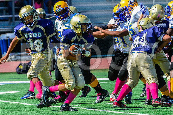 PEE WEE Elk Grove Herd-4