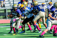 Jr Midgets Elk Grove Herd-16