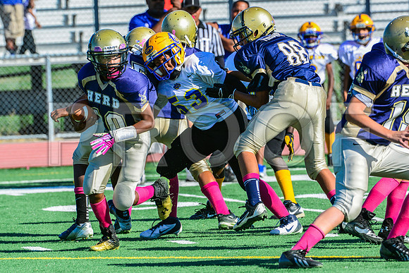 Jr Midgets Elk Grove Herd-16