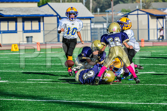 Mighty Mites Elk Grove Herd-23
