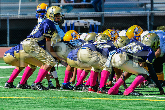 PEE WEE Elk Grove Herd-2