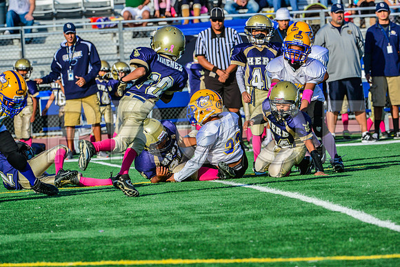 Mighty Mites Elk Grove Herd-4