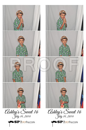 2014-7-19-0032-d