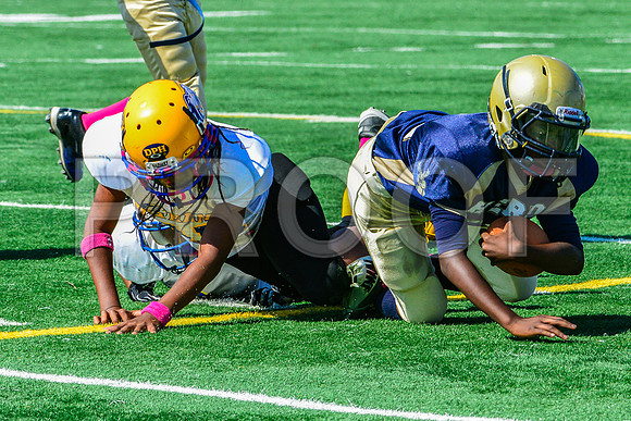 PEE WEE Elk Grove Herd-20