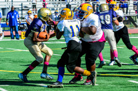 Jr Midgets Elk Grove Herd-4