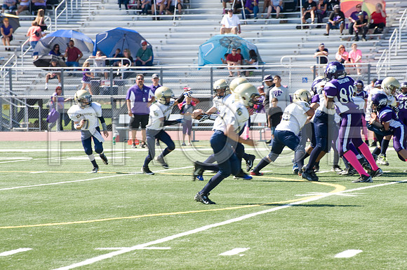 DSC_3313-Proof