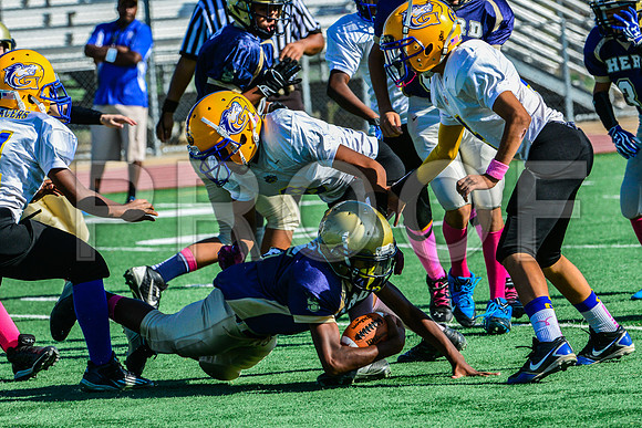 Jr Midgets Elk Grove Herd-8
