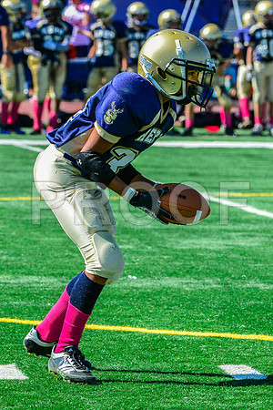 PEE WEE Elk Grove Herd-28