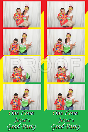 2013-6-7-0006-d