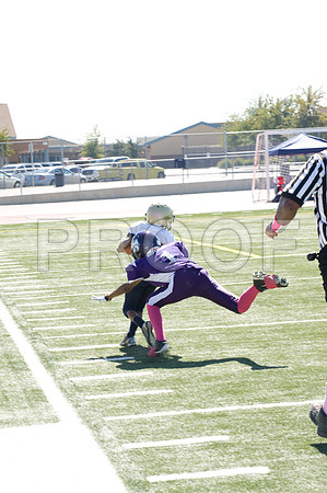 DSC_3411-Proof