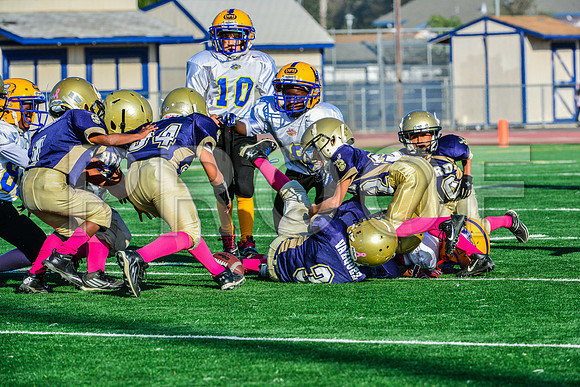 Mighty Mites Elk Grove Herd-25