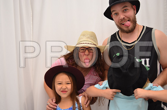 2015-5-31-0021-3