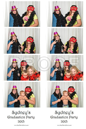 2013-6-1-0013-d