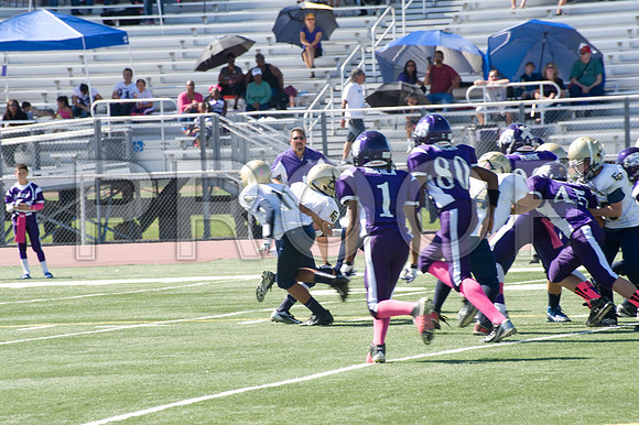 DSC_3317-Proof