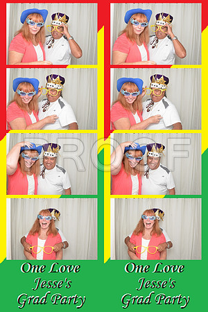 2013-6-7-0016-d