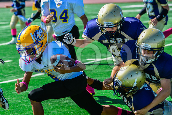 PEE WEE Elk Grove Herd-14