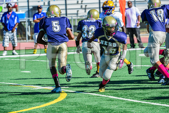 Jr Midgets Elk Grove Herd-13