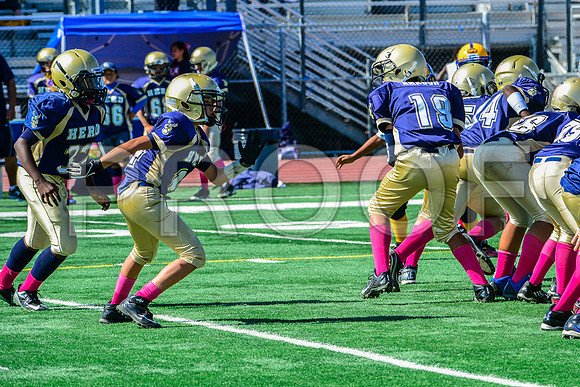 PEE WEE Elk Grove Herd-15