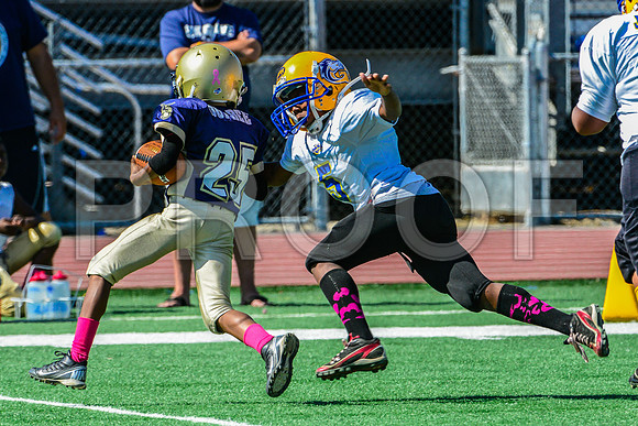 PEE WEE Elk Grove Herd-3