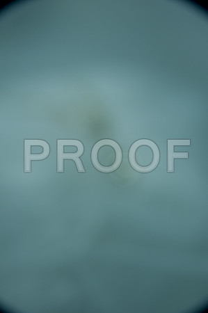 DSC_0490-Proof