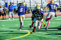 Jr Midgets Elk Grove Herd-14