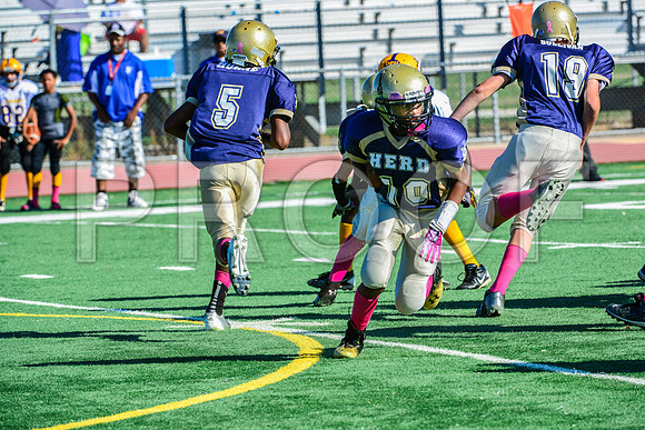 Jr Midgets Elk Grove Herd-14
