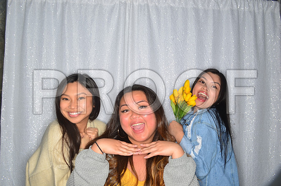 2019-3-30-0003-4