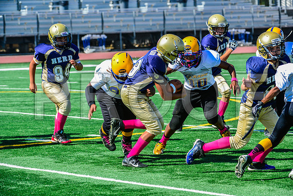 PEE WEE Elk Grove Herd-24
