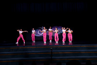 DSD_1008