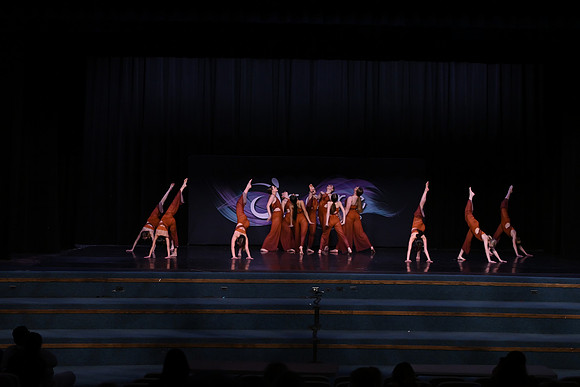 DSD_8126