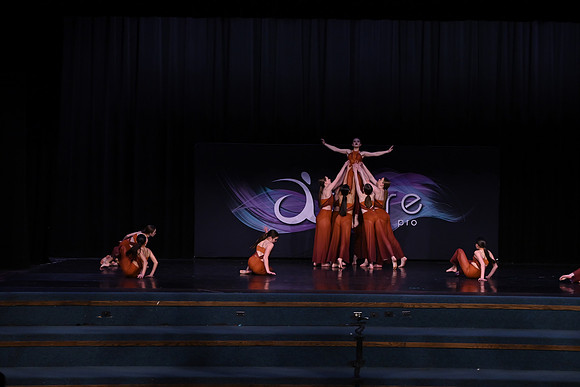 DSD_8124