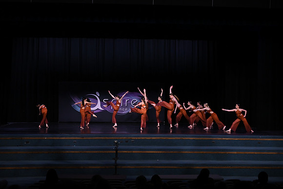 DSD_8131