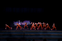 DSD_8130
