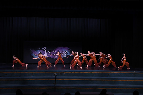 DSD_8130